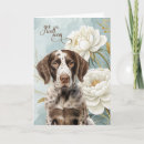 Search for german shorthaired pointer dog cards Dogs
