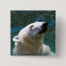 Search for polar bear gifts Wild animal
