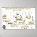Search for genome posters Dna