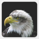 Search for state bird stickers Patriotic