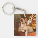 Search for sleepy kitty key rings Cat lover