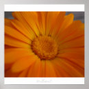 Search for funky christmas decor Quirky