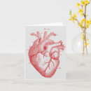 Search for anatomical heart cards Red