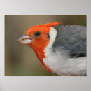 Search for extreme animals art Horizontal