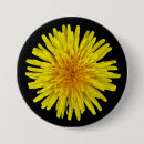 Search for dandelion badges Taraxacum