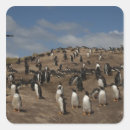 Search for gentoo stickers Colony