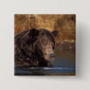 Search for steve badges Animal