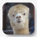 Search for alpaca plates Peru
