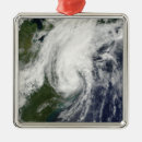 Search for hurricane christmas tree decorations Florida