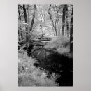Search for brook art Woodland