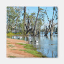 Search for murray magnets River