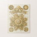 Search for ernst haeckel puzzles Sea