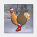 Search for rooster magnets Farmer