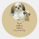 Search for dog address stickers Dogs
