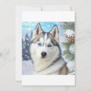 Search for husky cards Alaskan