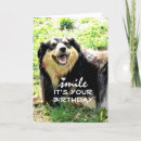Search for expression photography Dog