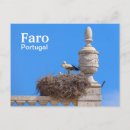 Search for storks postcards Portugal