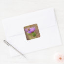 Search for pollen stickers Floral