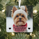 Search for holiday pet memorial ornaments Forever in our hearts