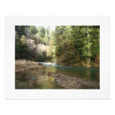 Search for rapids art River