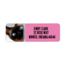 Search for siamese return address labels Blue eyes cat