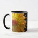 Search for jenny mugs Nature