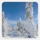 Search for winter landscape stickers Nature
