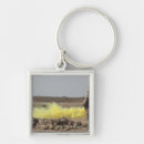 Search for secure key rings Equipment