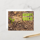 Search for beauty quotes postcards Nature