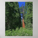 Search for giant posters Green