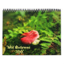 Search for toadstool photography Toadstools