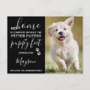 Search for rescue pet invitations Puppy