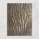 Search for bark postcards Nature