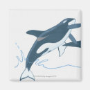 Search for orca whale magnets Animal