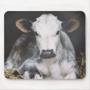 Search for crops mouse mats Photography