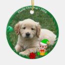 Search for golden retrievers christmas decor Golden retriever puppy