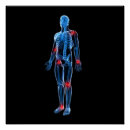 Search for xray posters Medical
