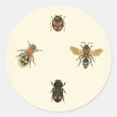 Search for beetle stickers Insects