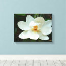 Search for white magnolia canvas prints Floral