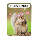 Search for funny squirrel valentines day cards Happy valentine's day
