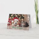 Search for dog and cat christmas cards Animals