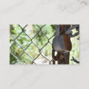 Search for fence business cards Nature