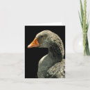 Search for lucy cards Bird