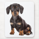 Search for dachsie mouse mats Puppy