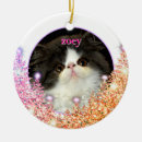 Search for sparkle christmas tree decorations Pet