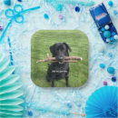Search for black labrador dog plates Funny