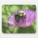 Search for pollinators mouse mats Blossom
