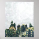 Search for cactus posters Watercolor