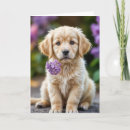 Search for golden retriever puppy birthday cards Cute