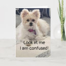 Search for confusing postcards Birthday